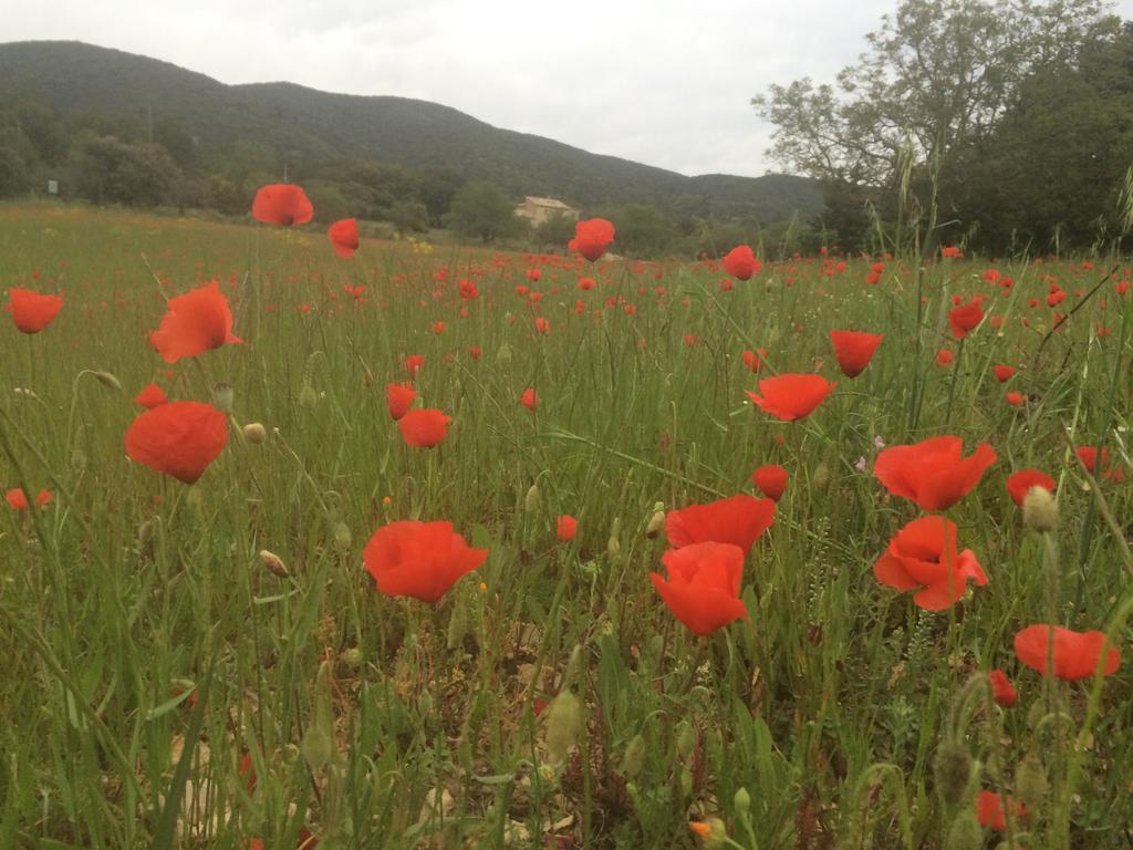 La Rivayne Bed & Breakfast Lourmarin Bagian luar foto