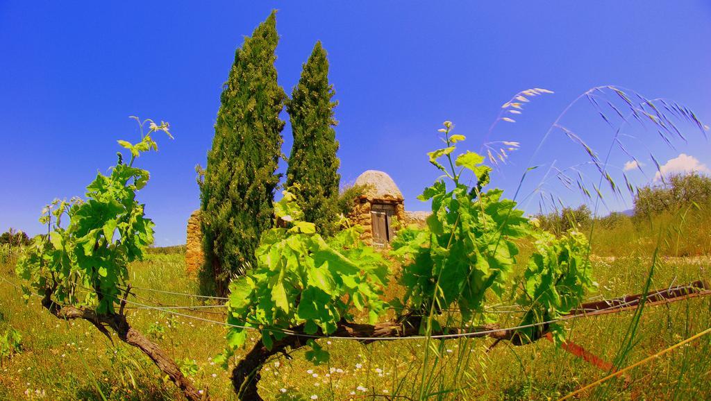 La Rivayne Bed & Breakfast Lourmarin Bagian luar foto