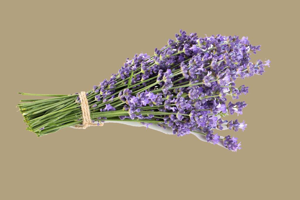 La Rivayne Bed & Breakfast Lourmarin Bagian luar foto